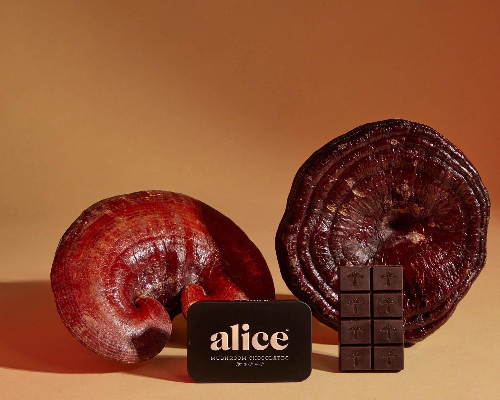 Alice Mushrooms NightCap – 4 Tins (64 Doses) Alice Mushrooms NightCap – 4 Tins (64 Doses)