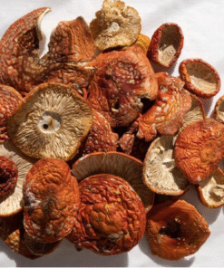 Amanita Muscaria Mushroom