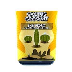 San Pedro Grow Kit (Trichocereus pachanoi) San Pedro Grow Kit (Trichocereus pachanoi)